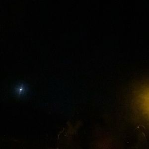 Meet your Posher, Elise